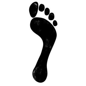 Immagine per la categoria Scarpe - Sneakers  Uomo - Man